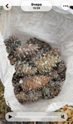 IMG_5985.jpeg