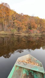 IMG_5990.jpeg