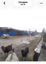 IMG_5991.jpeg