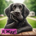 IMG_2875.jpeg