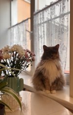 IMG_2570.jpeg