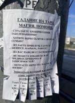 IMG_4566.jpeg
