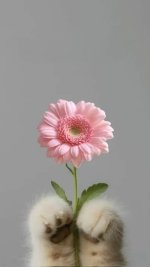 IMG_3145.jpeg