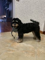 37E16C05-B092-4107-BE4E-53976E97C13E.jpeg