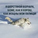 511347_300 (1).jpg