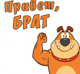 1640269015584.png