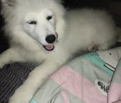 IMG_20220119_202504.jpg