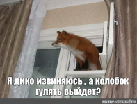 1643562288399.png