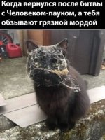 E9621CBD-032F-4D12-8957-3C02BBFDEB7B.jpeg