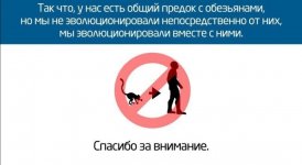 IMG_20220624_174545.jpg