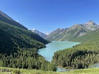 IMG_7936.jpg