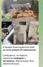 2E57DF75-350A-4DCC-8C34-3604DD07383C.jpeg