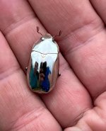 IMG_20220802_001936.jpg