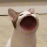 Salsa