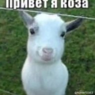 ТАЯ_Я