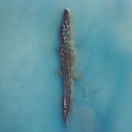 Cassius