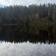 EvgeniaK