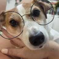 Ксю-chi