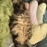Оксана92
