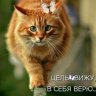 Анжик