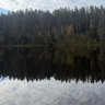 EvgeniaK