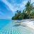 Andrey_P